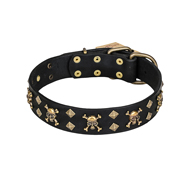 'Jolly Rojer' FDT Artisan Leather English Bulldog Collar with Pirate Skulls and Studs - 1 1/2 inch (40 mm) wide