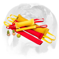 Ultimate Training Set of Bite Tugs for English Bulldog