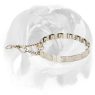 English Bulldog Dog Pinch Prong Collar Made of High-Quality Stainless Steel