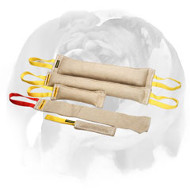 English Bulldog Professional Bite Training Set (Jute Tugs)