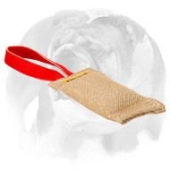 English Bulldog Puppy Bite Tug Made of Jute