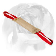 Puppy Durable Jute Bite Tug for Training English Bulldog