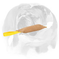 English Bulldog Leather Bite Tug with 1 Handle