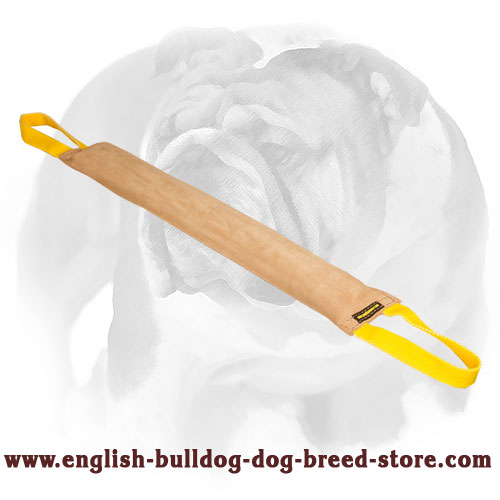 Handcrafted Leather Dog Bite Tug for English Bulldog Training