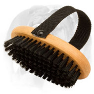 'Brush & Go' Bristle English Bulldog Brush for Everyday Grooming