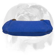 English Bulldog French Linen Bite Builder for Puppies