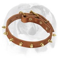 Best-Selling Spiked Leather Dog Collar made for English Bulldog breed