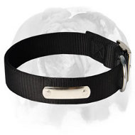 2 Ply Nylon Dog Collar w/h name tag for English Bulldog breed