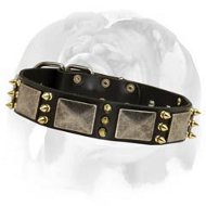 Amazing adorned leather dog collar created for English Bulldog breed