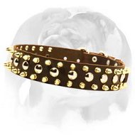English Bulldog Leather Spiked and Studded Dog Collar for awesome look of your pet