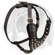 Neatly Designed English Bulldog Leather Dog Harness with Silver-Like Pyramids