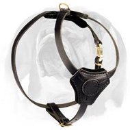 Small Exquisite Leather Dog Harness for English Bulldog puppy