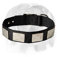 Nylon Dog Collar With Large Vintage Nickel Plates for Your English Bulldog breed