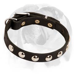 Puppy Collar Decorated With Half-Ball Studs for Gorgeous Look of your Doggie