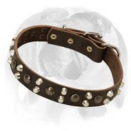 English Bulldog exclusively decorated leather collar