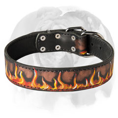 Extraordinary Leather Dog Collar for your English Bulldog.