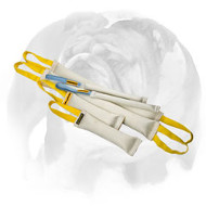 English Bulldog Training Set of Fire Hose Bite Tugs