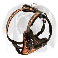 English Bulldog Leather Harness for any activity you & your dog enjoy