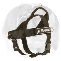 nylon dog harness for English bulldog 