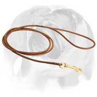 Dog Show Leather Round Leash for English Bulldog Breed