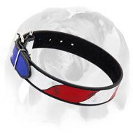 American Pride leather dog collar for English Bulldog