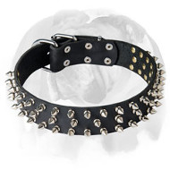 English Bulldog Wide Adjustable Strap Full Grain Leather Dog Collar with Spikes