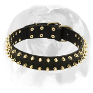 English Bulldog Protective Leather Dog Collar with Brass Spikes