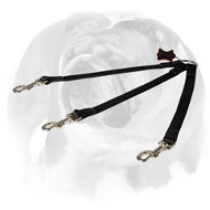 English Bulldog Nylon Coupler Leash for 3 Dogs