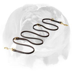 English Bulldog Multifunctional Genuine Leather Dog Leash