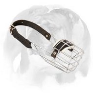 'The Silencer' High Quality Wire Cage Muzzle Padded for English Bulldog