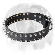 English Bulldog Leather Dog Collar with 2 Rows of Spikes