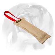 English Bulldog Puppy Joy Jute Bite Tug with Nylon Handle