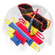 English Bulldog Great Bite Training Set for Puppies and Young Dogs