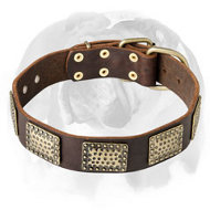Astonishing Leather Dog Collar with exclusively designed brass plates