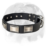 Stylish leather Dog Collar equipped with nickel plates!