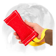 English Bulldog Puppy Tug with Nylon Handle for Bite Training