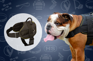 Nylon Dog Harness