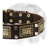 English Bulldog Vintage Style Pure Leather Dog Collar with Brass Decorations