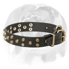 English Bulldog Pure Leather Dog Collar with Buckle