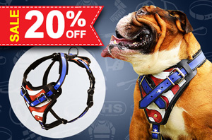 Leather dog harness