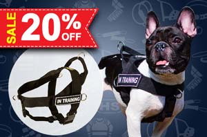 Nylon dog harness