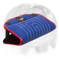 English Bulldog Puppy Bite Builder for Advanced Bite Training