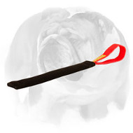 English Bulldog French Linen Tug for Puppy Bite Training