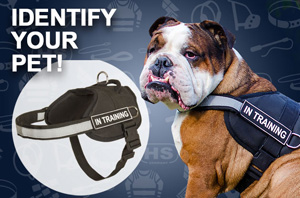 Nylon Dog Harness