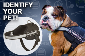 Nylon dog harness