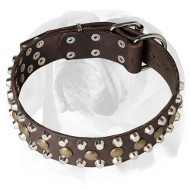 English Bulldog Riveted Full Grain Leather Dog Collar with Decorations