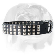 English Bulldog Wide 3 Rows Pyramids Leather Dog Collar