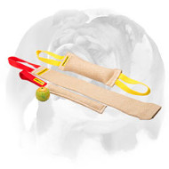 English Bulldog Special Jute Set for Training