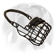 Fancy Wire Cage Muzzle with Rubber Cover for Winter