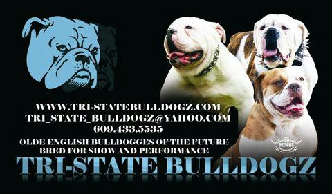 TRI-STATE BULLDOGZ